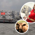Built for the Critical Moments: Delivering FMD Vaccine Shipment to South Africa
